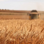 icra-yoluyla-satisa-cikarilan-turkiye-genelindeki-tarim-varliklari-3327-tarla-211-bag-32-traktor-gBalrMaN.jpg