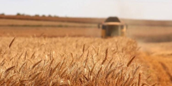 İcra Yoluyla Satışa Çıkarılan Türkiye Genelindeki Tarım Varlıkları: 3.327 Tarla, 211 Bağ, 32 Traktör!