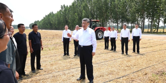 Çin’de Bereketli Hasatlar, Çiftçiler İçin Kalıcı Refaha Dönüşüyor: Xi Jinping’in Kırsal Kalkınma Vizyonu