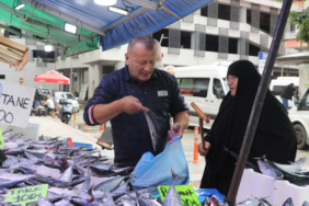 Rize tezgahlarında artan palamut arzı fiyatları 50 ile 100 lira bandına çekti