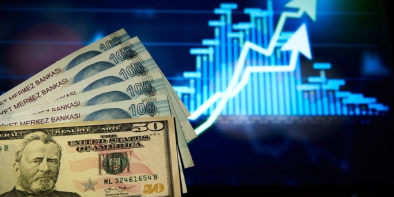 Dolar/TL Tarihi Zirvesini Yenileyerek 49,1630 Seviyesine Ulaştı