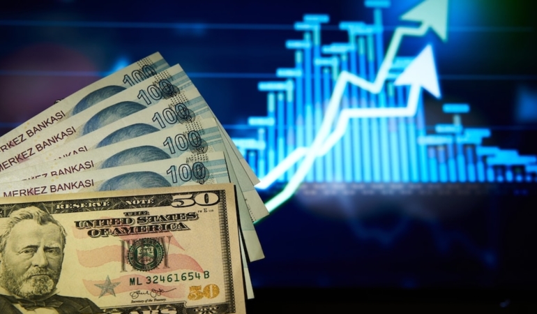 Dolar/TL Tarihi Zirvesini Yenileyerek 49,1630 Seviyesine Ulaştı