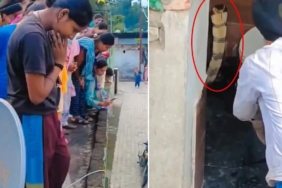 Hindistan'da bir evin klozetinde dev kobra yılanı görüntülendi