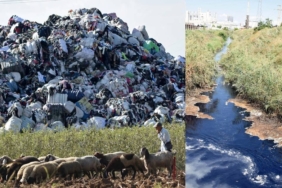 Türkiye'ye Yönelik Plastik Atık İthalatı Büyürken Çevresel Maliyetler Hızla Artıyor