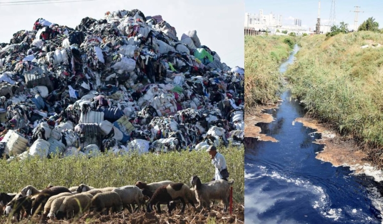 Türkiye'ye Yönelik Plastik Atık İthalatı Büyürken Çevresel Maliyetler Hızla Artıyor
