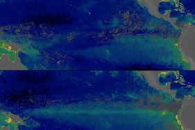 NASA Verileri Pasifik Okyanusu'nda Süper El Nino Nedeniyle Yaşanan Renk Değişimini Gösterdi