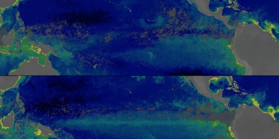 NASA Verileri Pasifik Okyanusu’nda Süper El Nino Nedeniyle Yaşanan Renk Değişimini Gösterdi