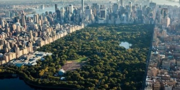New York Central Park'ta Bıçaklı Cinsel Saldırı Şüphelisi Aranıyor